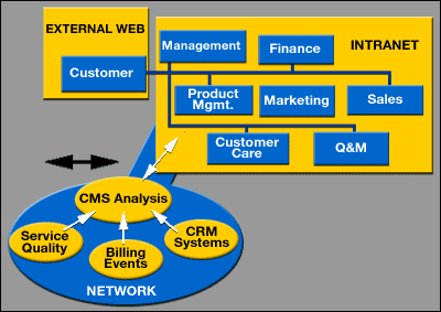 CMS Analysis - Process Flow Diagram